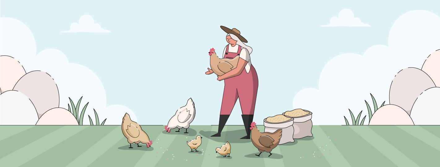 Easter Egger Chickens | Ultimate Guide
