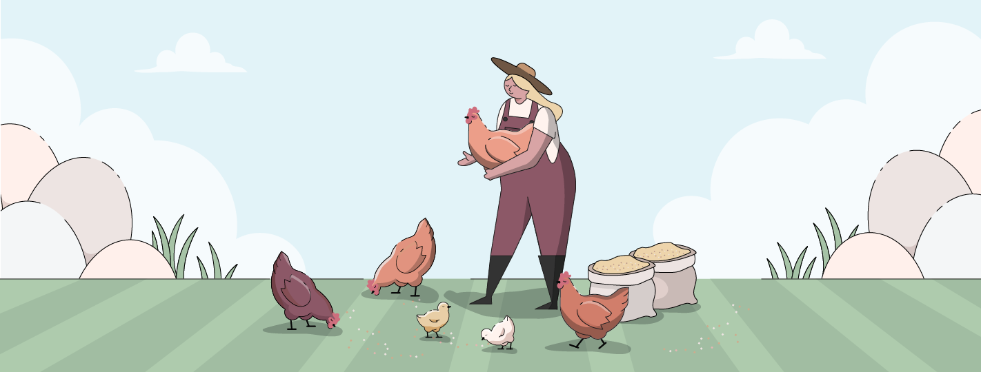 Rhode Island Red Chickens | Ultimate Guide