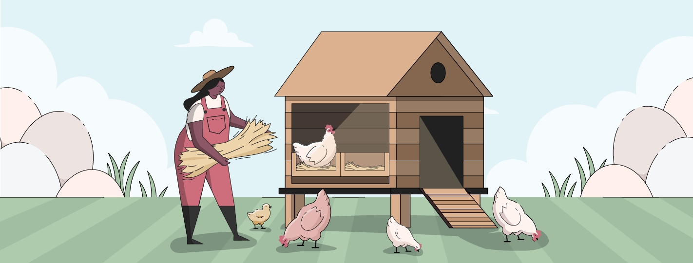 Chicken Nesting Boxes Guide