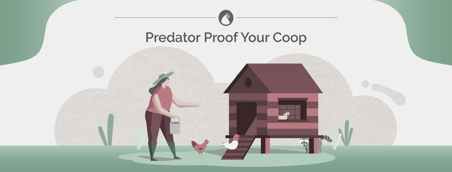 How to Predator Proof Your Chicken Coop