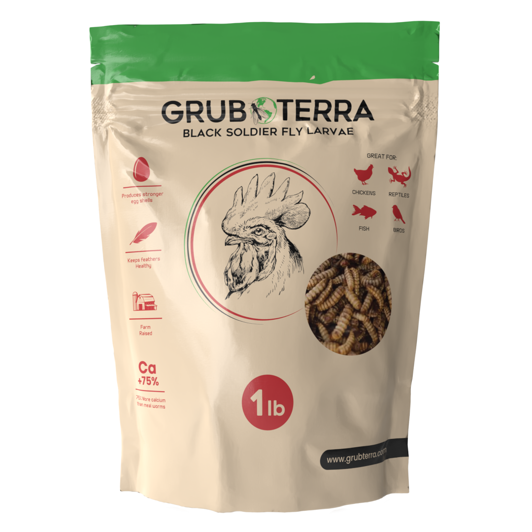 Grub Terra | Organic Grub for chicken | Fly Larvae