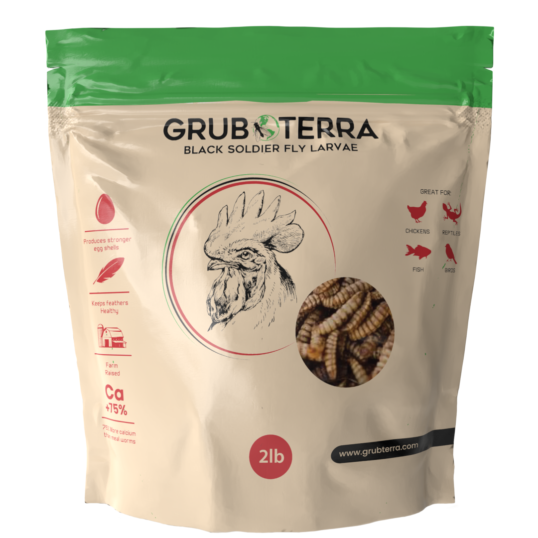 Grub Terra | Organic Grub for chicken | Fly Larvae