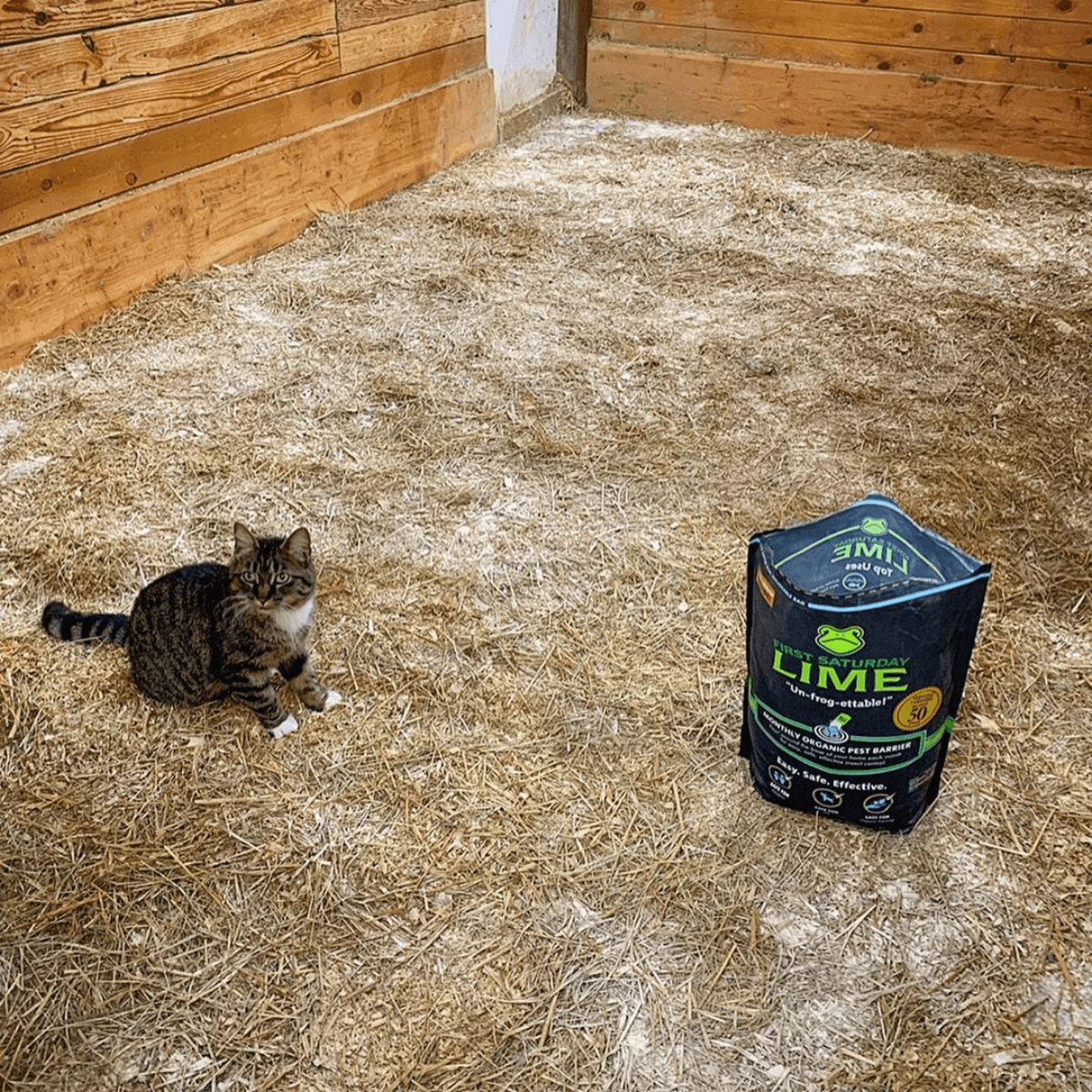 Natural Insect Repellent for Chicken Coops