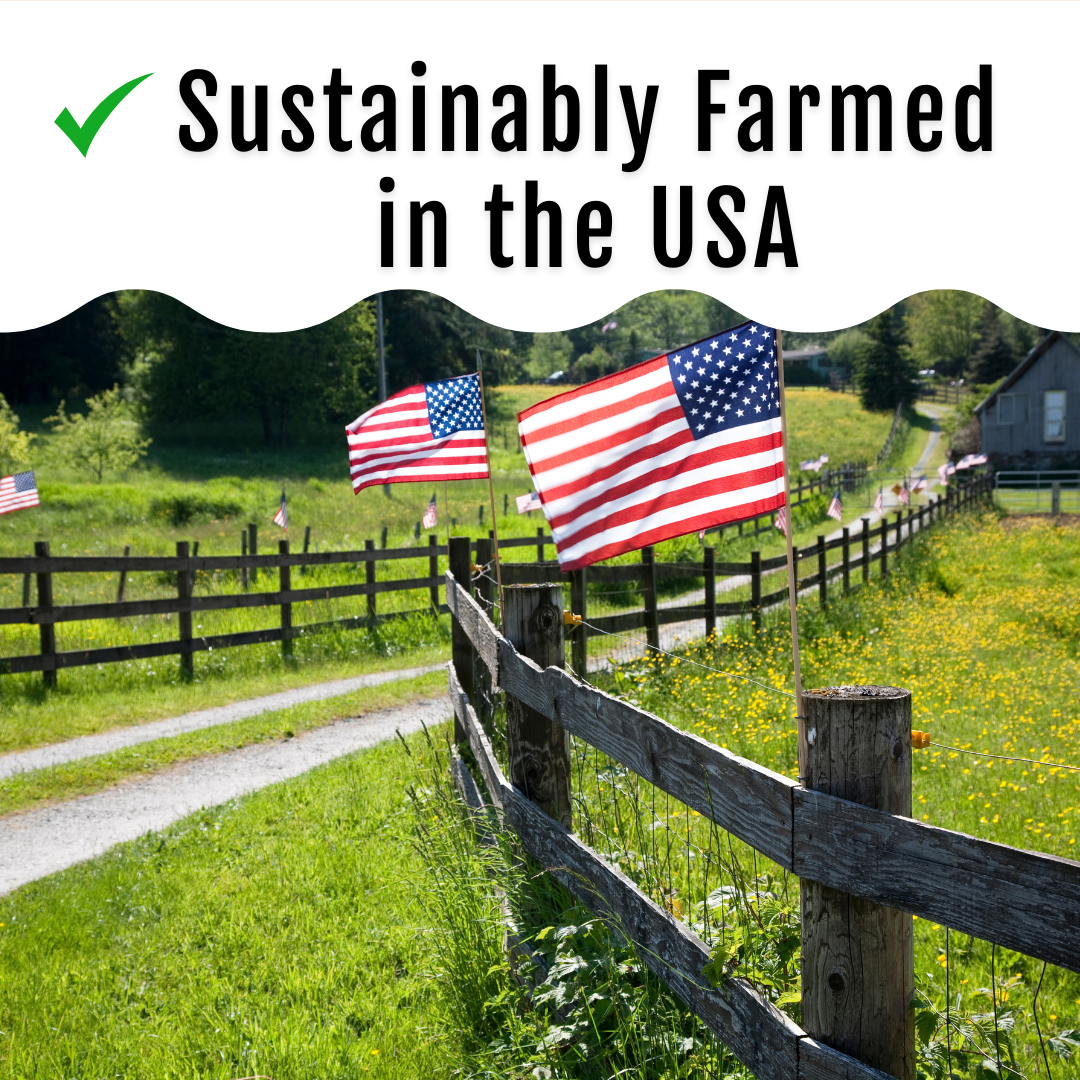 GrubFuel - Black Soldier Fly Larvae for Chickens