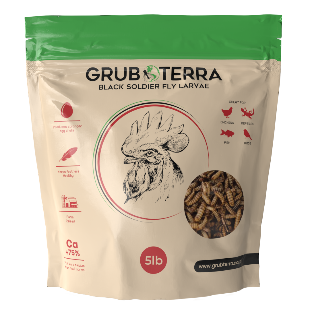 Organic Grub for chickens