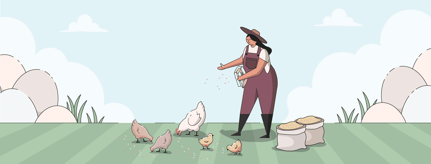 Organic Chicken Feed, Chick Feed, Starter Feed, Mile Four, Chicken Feed, Bulk Feed, Sampler Chicken Feed, USDA Organic Chicken Feed, Non-GMO Chicken Feed, Organic Eggs