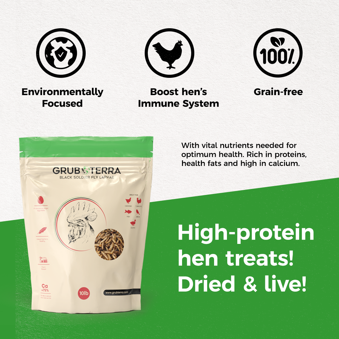 Grub Terra | Organic Grub for chicken | Fly Larvae