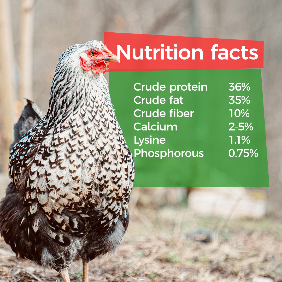 Nutrition Facts