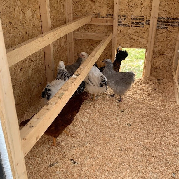 Chicken Coop, Large Sized Coop for 15 chickens, Red Painted Chicken Coop, Wooden Chicken Coop, DIY Chicken Coop, USA Made Chicken Coop, Assemble Chicken Coop,