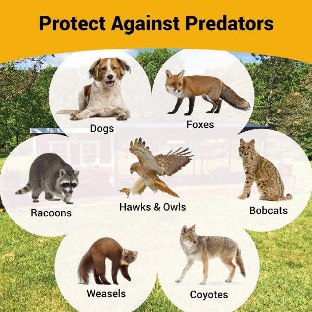 Chicken Coop, Large Sized Coop for 15 chickens, Red Painted Chicken Coop, Wooden Chicken Coop, DIY Chicken Coop, USA Made Chicken Coop, Assemble Chicken Coop,