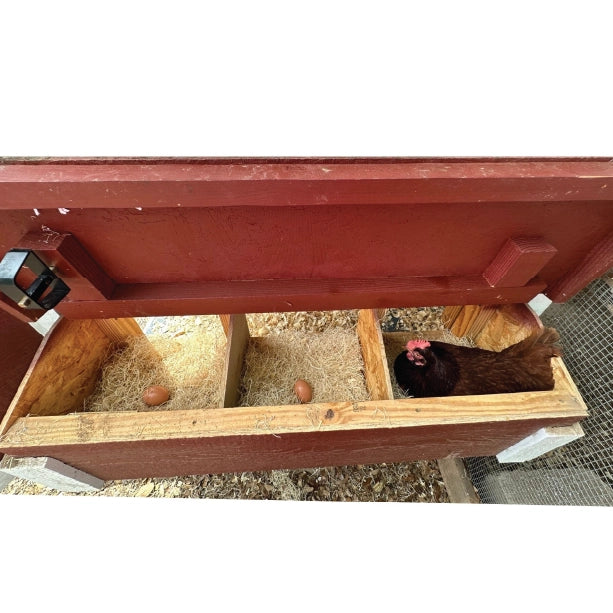 Chicken Coop, Medium Sized Coop for 10 chickens, White Painted Chicken Coop, Wooden Chicken Coop, DIY Chicken Coop, USA Made Chicken Coop, Assemble Chicken Coop,