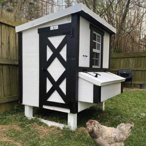 Chicken Coop, Medium Sized Coop for 10 chickens, White Painted Chicken Coop, Wooden Chicken Coop, DIY Chicken Coop, USA Made Chicken Coop, Assemble Chicken Coop,