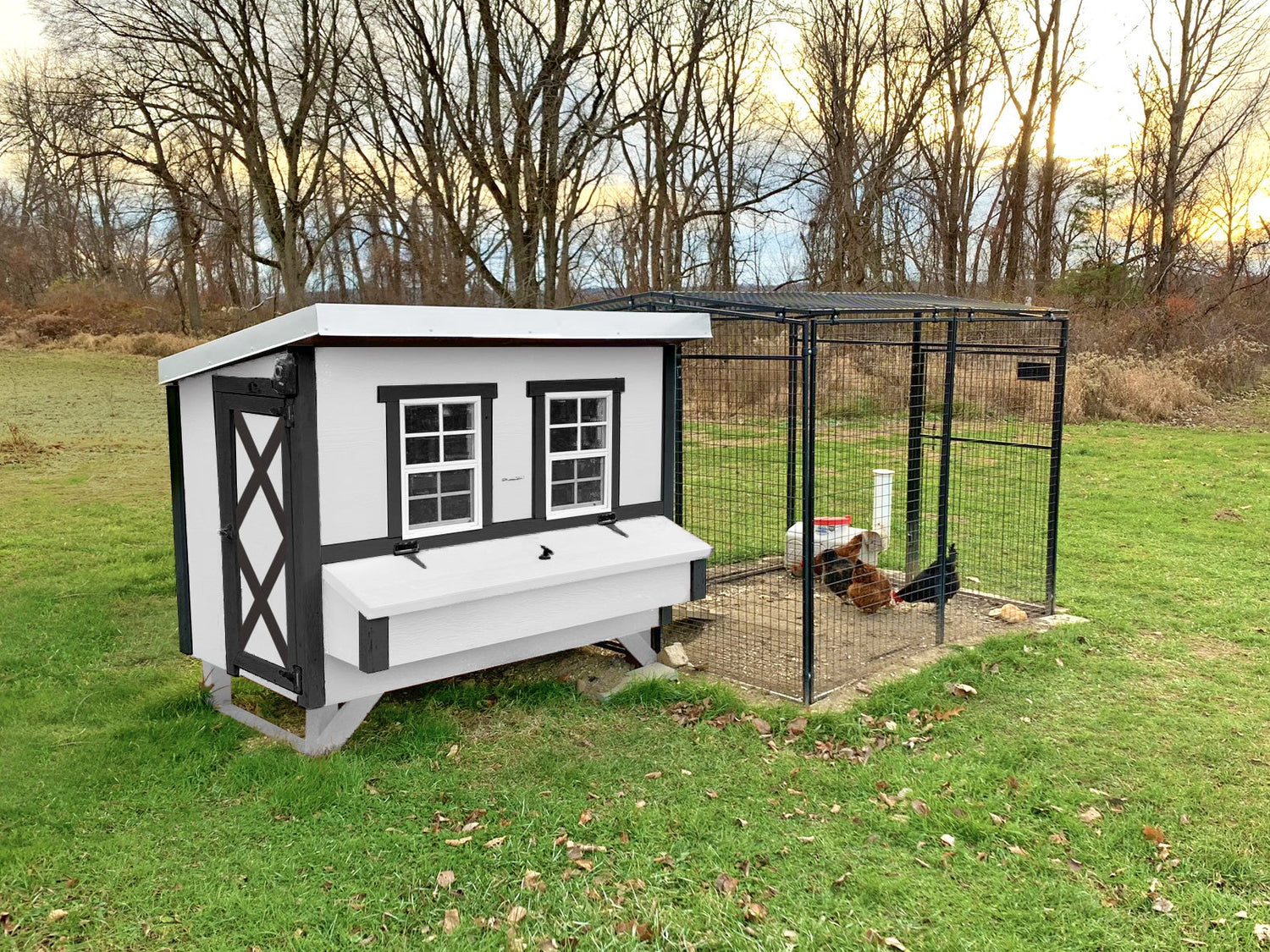Chicken Coop Large (15 Chickens)