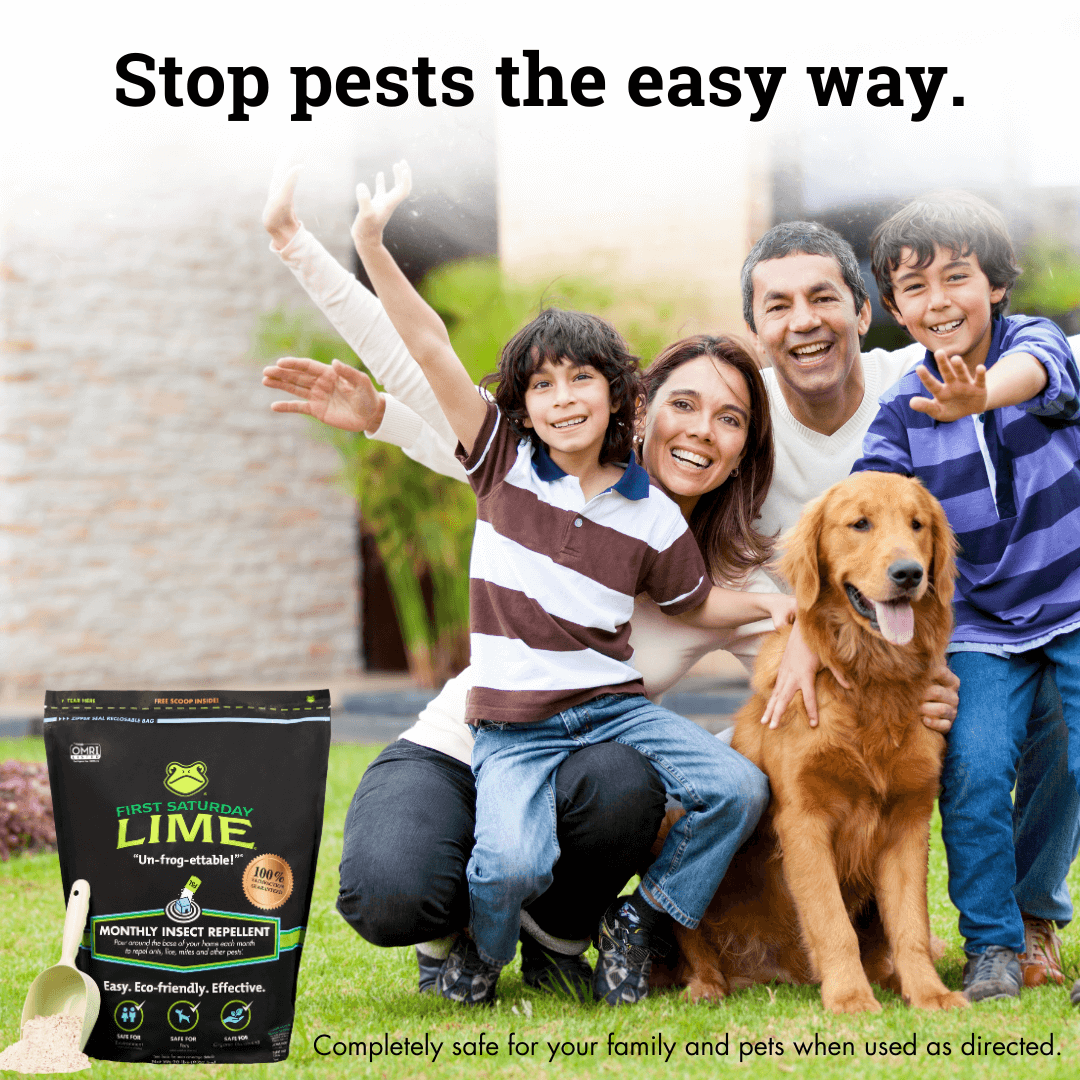 Natural Insect Repellent for Chicken Coops, Chicken Mites Repellent, Coop Protection, Chicken Mite Powder, Organic Coop Repellent, First Saturday Lime