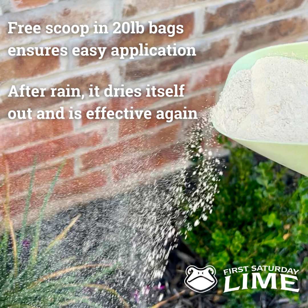 Insect Repellent