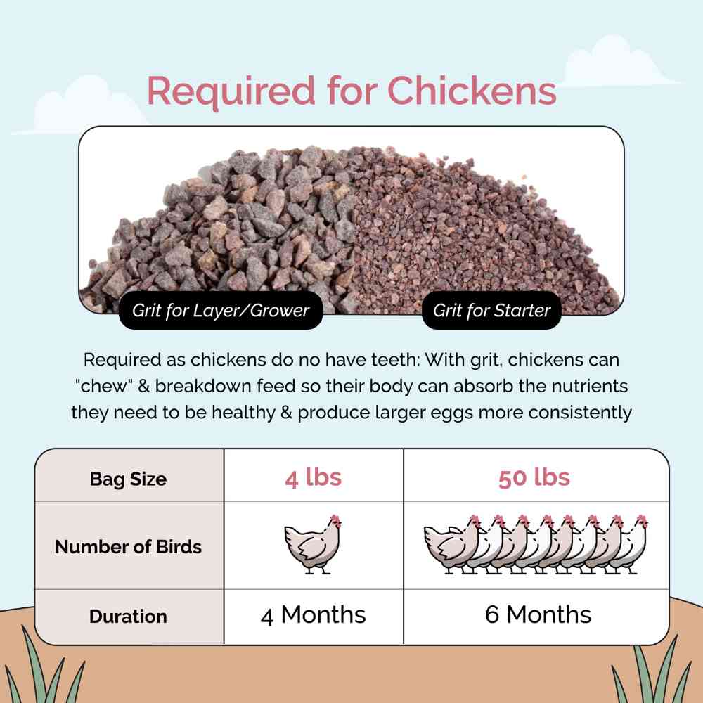 Buy Chicken Grit | Best Poultry Grit | Quartzite Chicken Grit | Grit