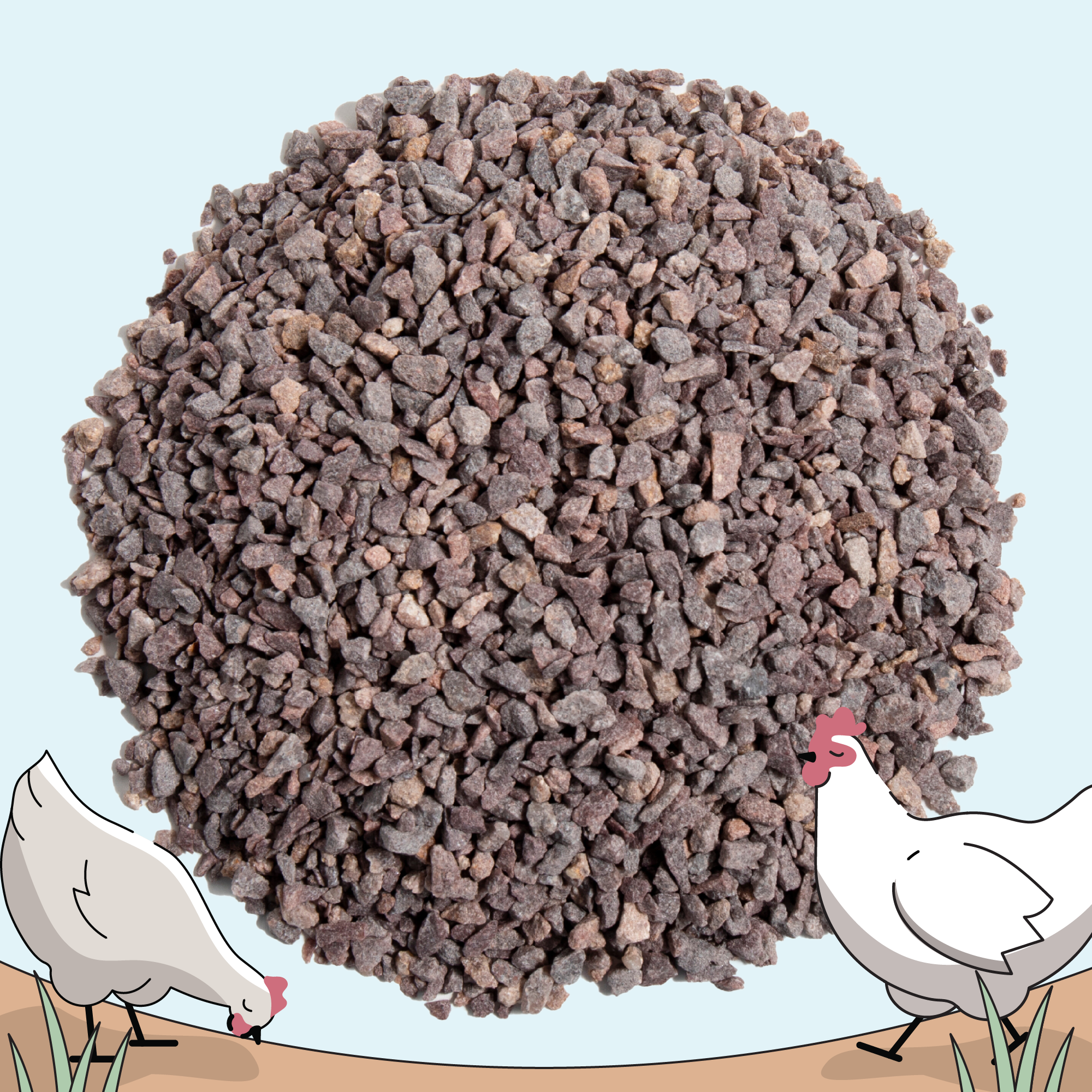 Chicken Grit + Oyster Shell | Layer & Grower Supplements