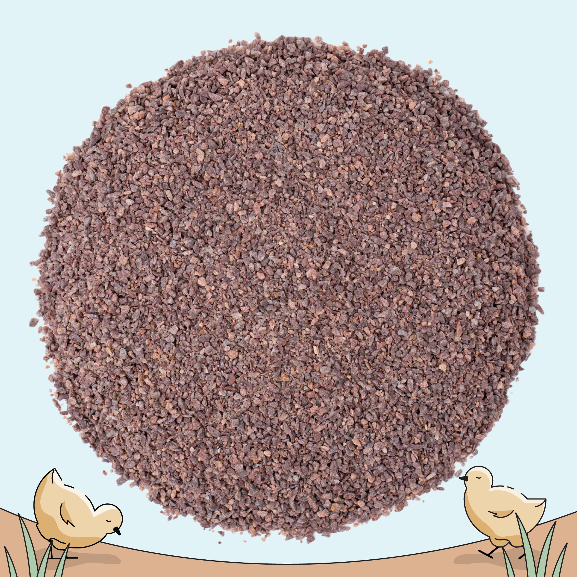 Starter & Chick Chicken Kit | 2 Month Supply of Feed & Grit | Non-GMO