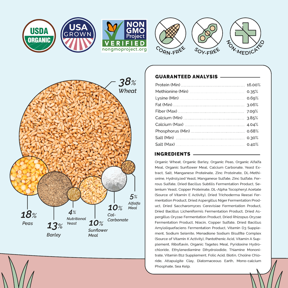 Layer Chicken Kit | 1 Month Supply of Feed, Grit, Scratch + Oys. Shell | Mash Ingredients