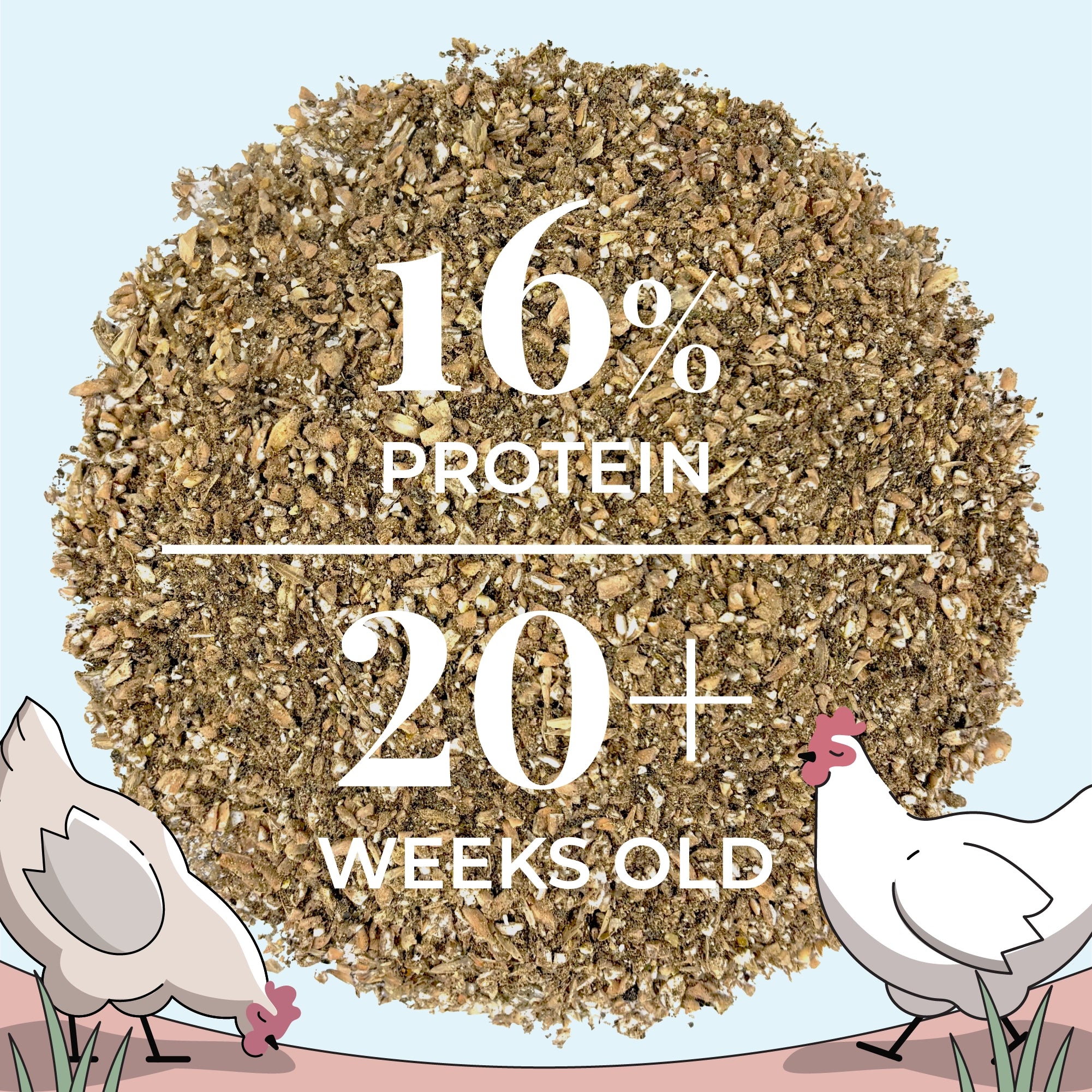 Layer Chicken Feed Kit, Chicken Feed Kit, Chicken Kit, Organic Feed Kit, Month Supply of Chicken Feed, Grit, Scratch, Oyster Shell, Chicken Feed Bundle, Best Chicken Feed, Organic Mash