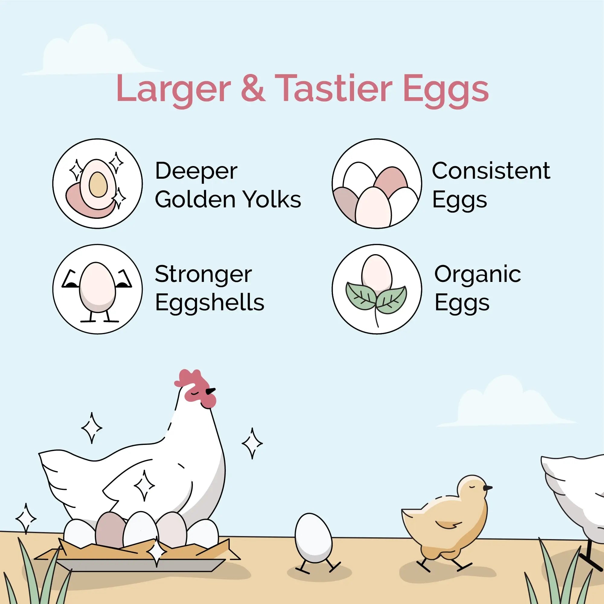 Chick Feed Starter Pack | Organic Starter Feed + Starter Grit