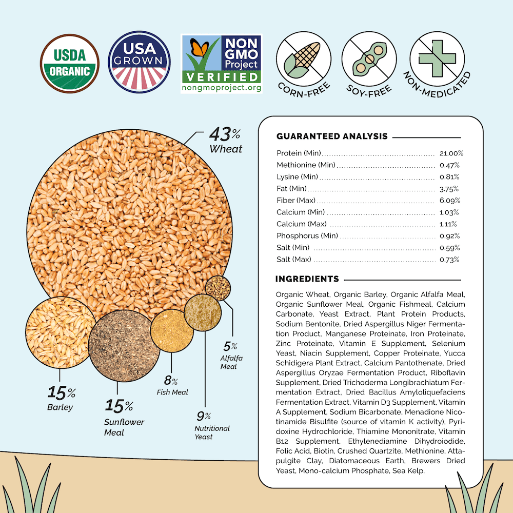 Buy Organic Starter Chicken Feed | Best Feed for Baby Chicks | Non-GMO, ingredients organic chicke feed