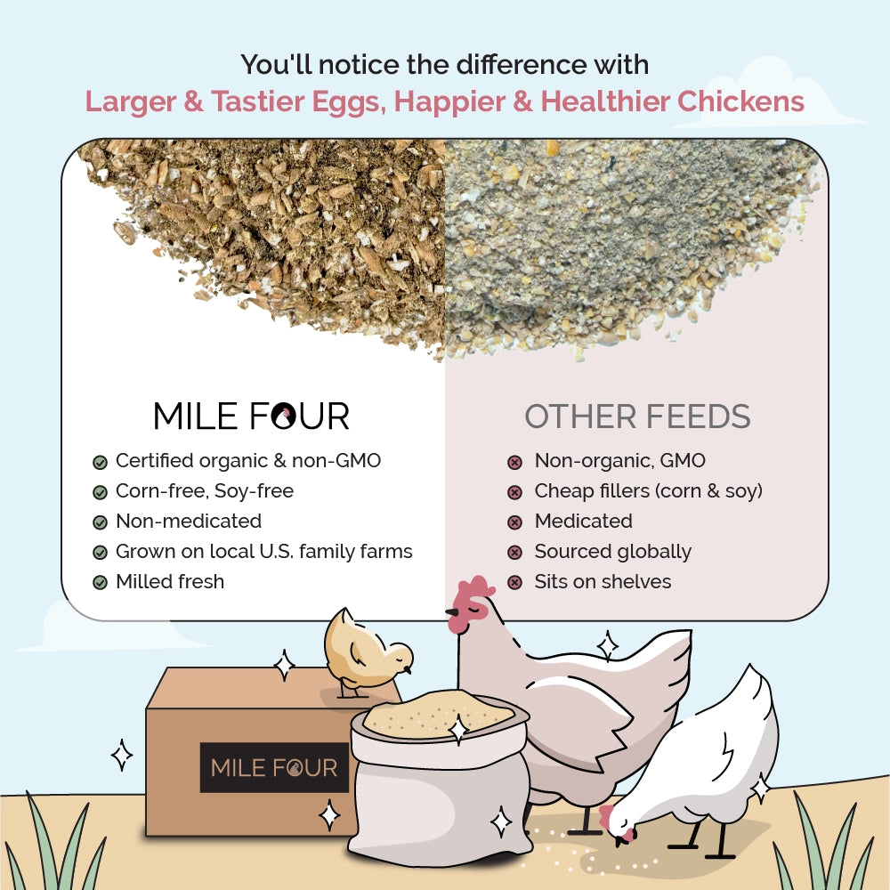 Buy Organic Starter Chicken Feed | Best Feed for Baby Chicks | Non-GMO, organic starter feed comparison,