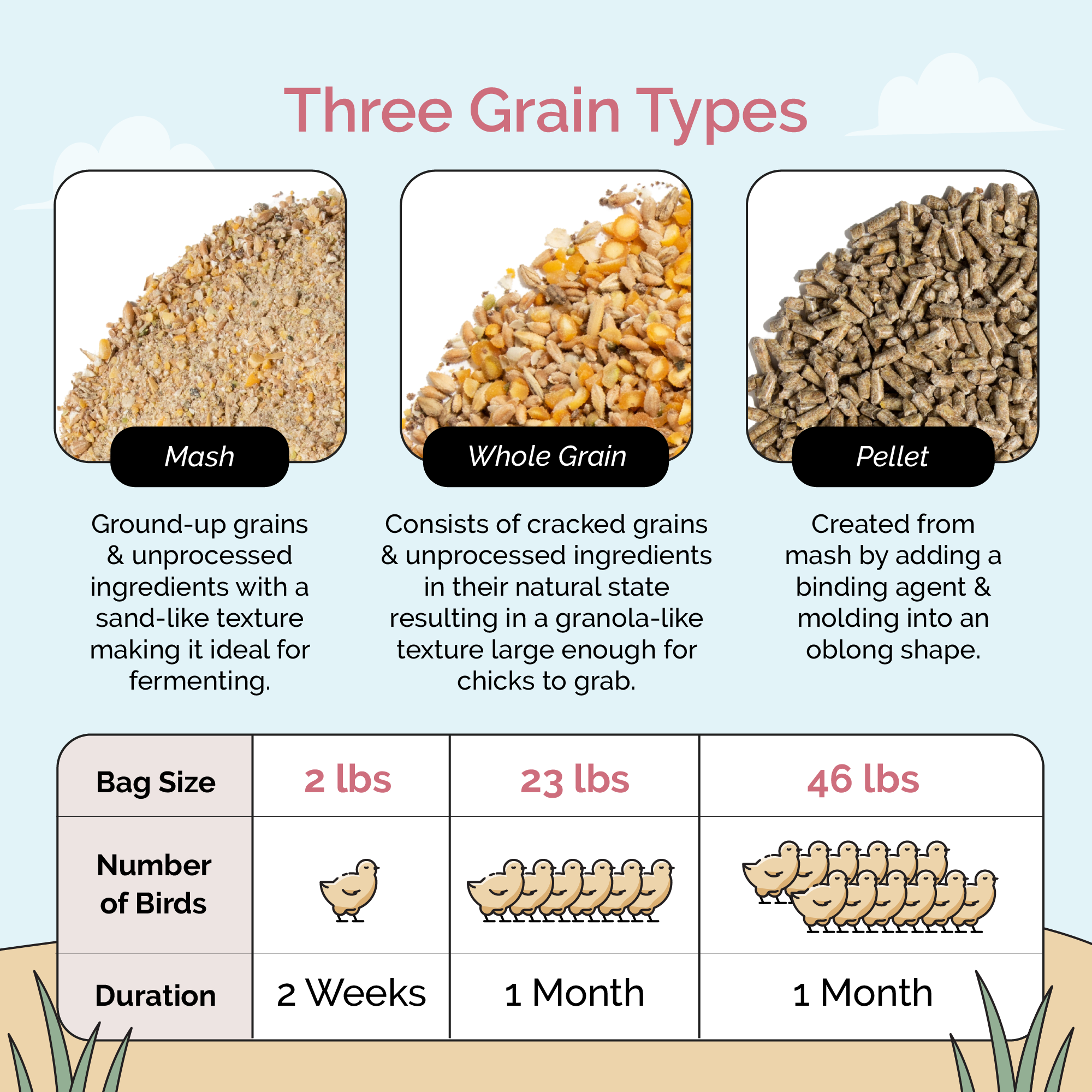 Starter &amp; Chick Chicken Kit | 2 Month Supply of Feed &amp; Grit | Non-GMO