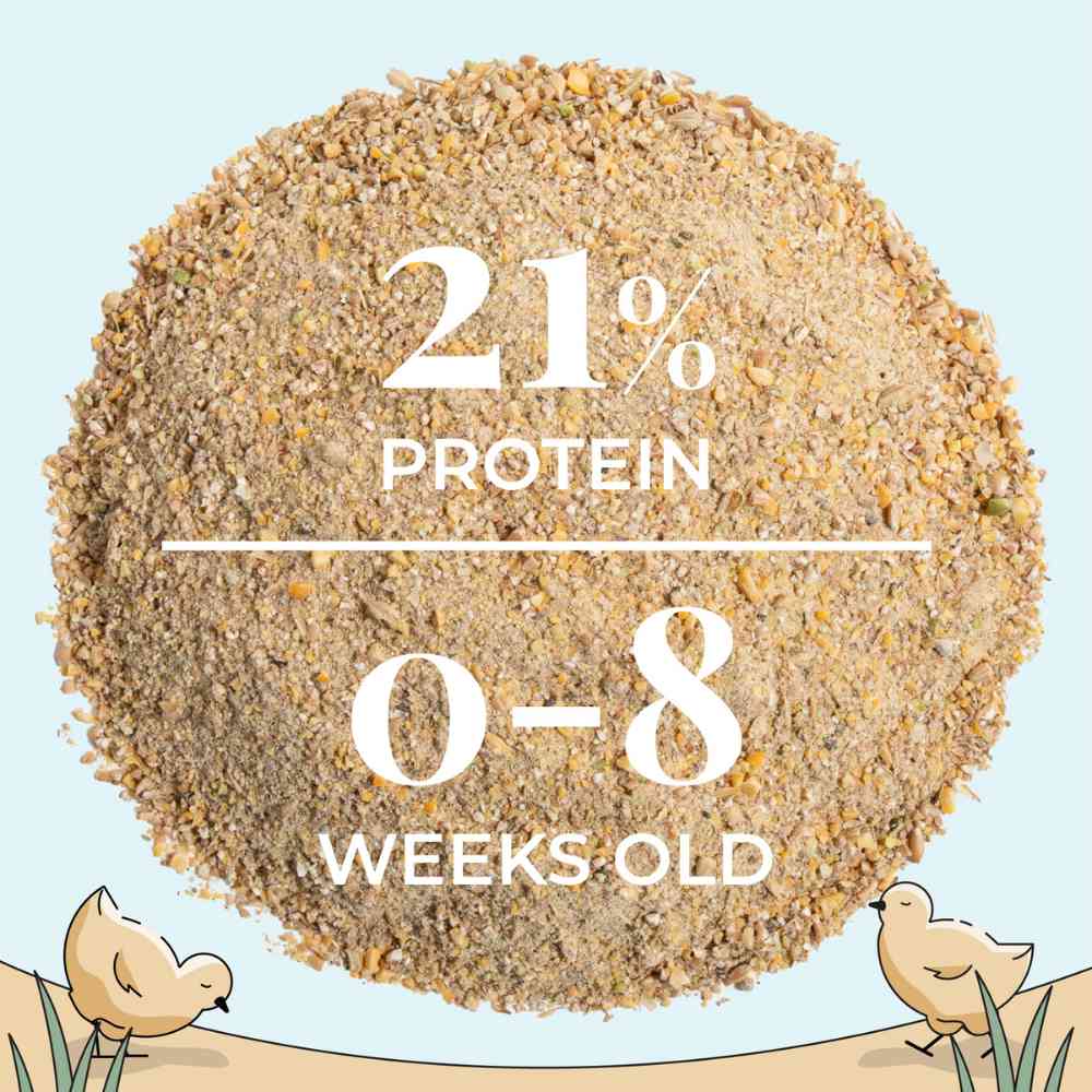 Buy Bulk Organic Chicken Feed | Save 75%+ Full Pallet Fresh Feed