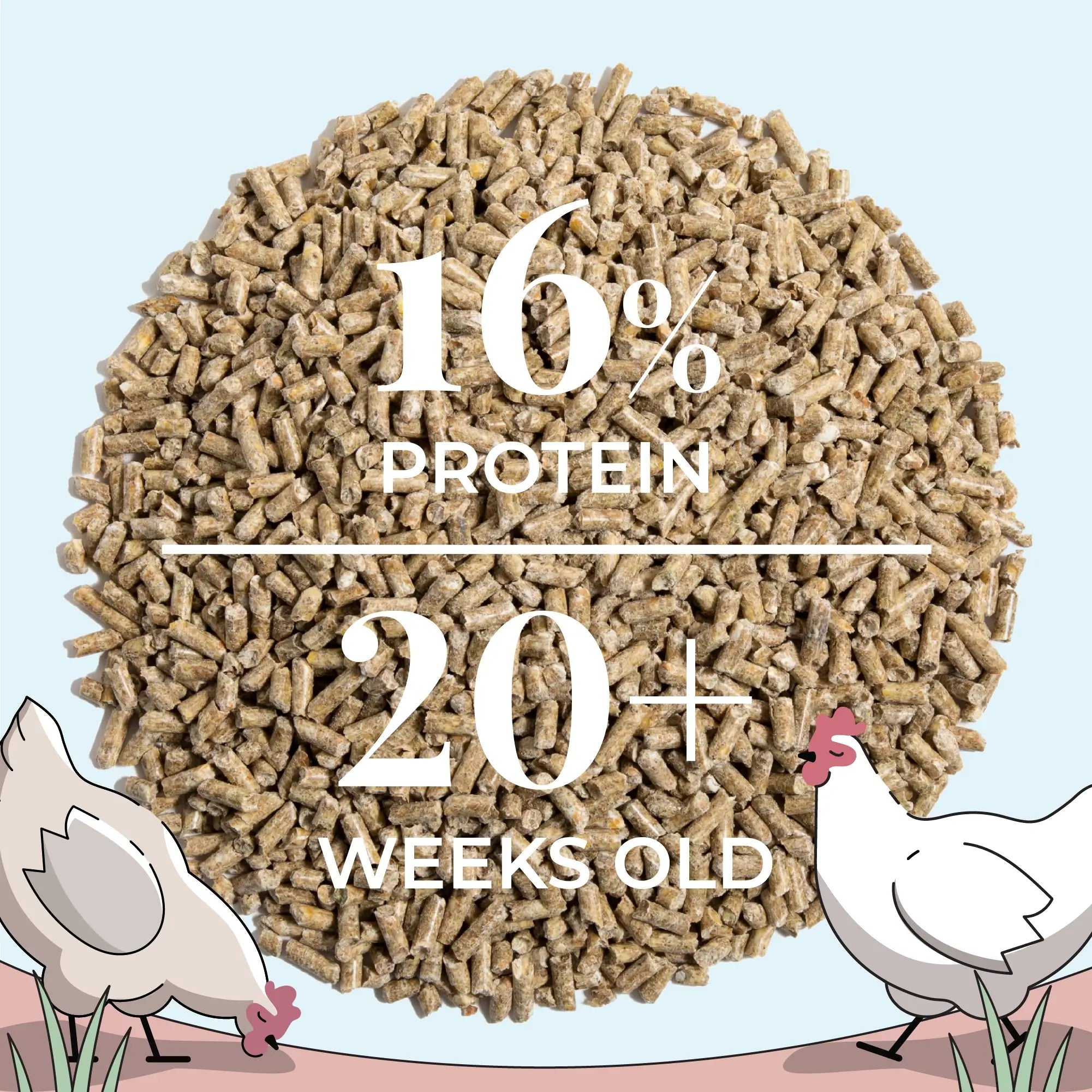 Buy Organic Chicken Layer Feed | Best Organic Layer Pellet | Non-GMO
