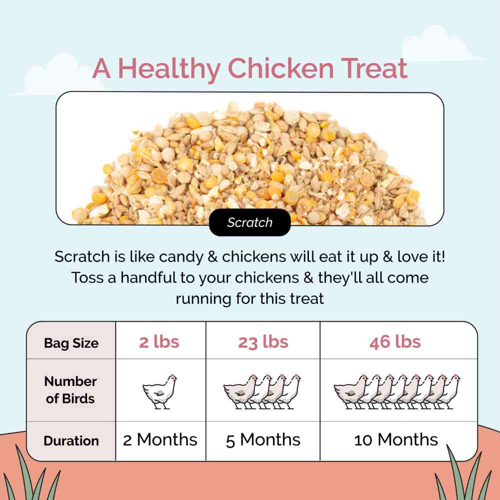 Buy Organic Chicken Scratch | Scratch Grains for Chicken Treat &amp; Snack