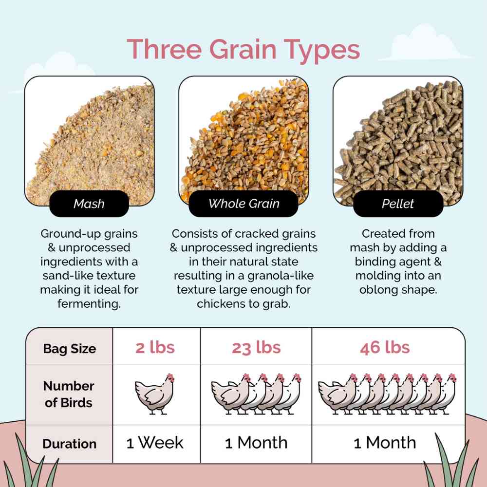 Buy Organic Chicken Layer Feed, Best Organic Layer Feed, Non-GMO, Bulk Chicken Feed, Bulk Organic Feed