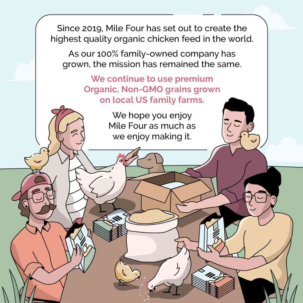 Buy Organic Chicken Layer Feed, Best Organic Layer Feed, Non-GMO, Bulk Chicken Feed, Bulk Organic Feed