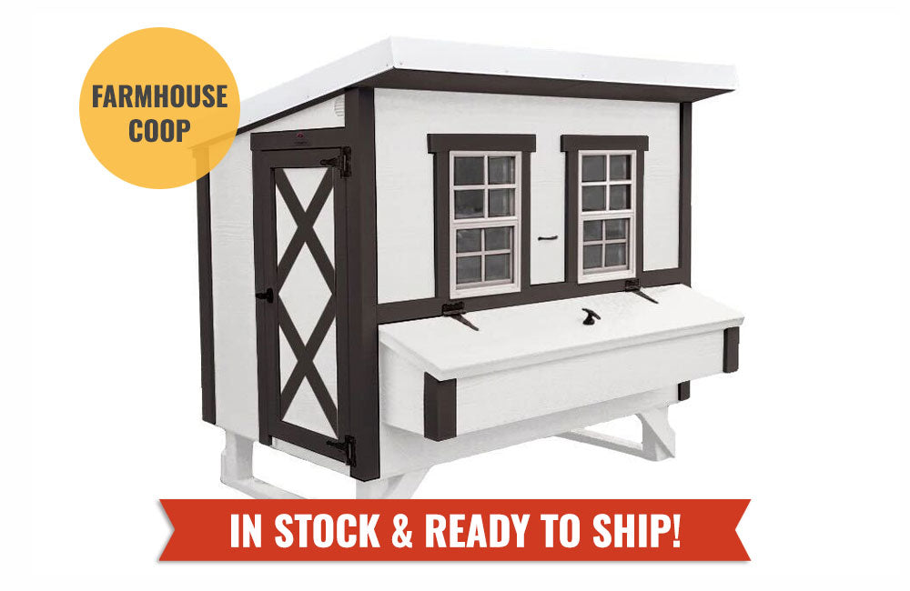 Chicken Coop Large (15 Chickens)