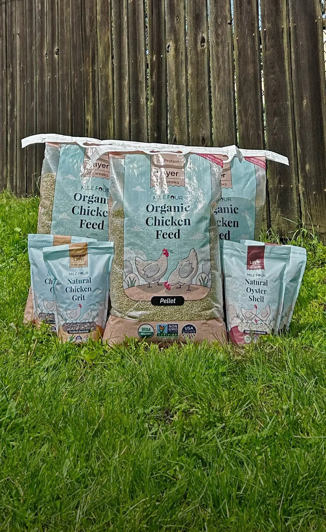 Organic Layer Feed, Organic Chicken Feed, Organic Feed Bundle, Best Chicken Feed, Backyard Chickens, Non-GMO, USDA Certified, Organic Certified