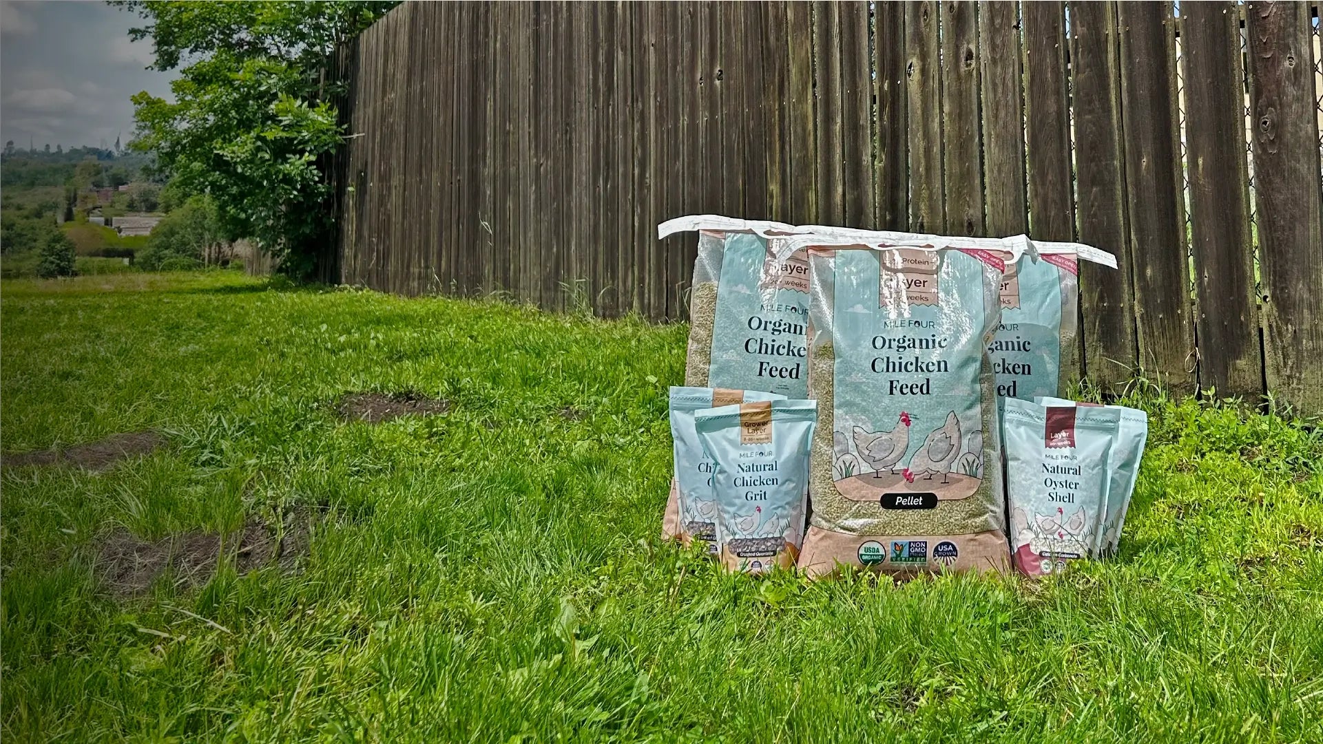 Organic Layer Feed, Organic Chicken Feed, Organic Feed Bundle, Best Chicken Feed, Backyard Chickens, Non-GMO, USDA Certified, Organic Certified