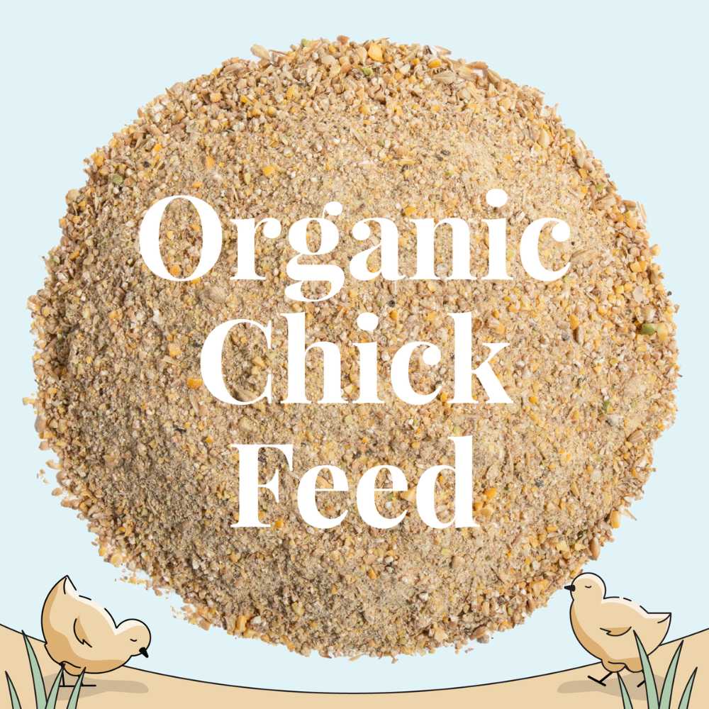 Starter Organic Chicken Feed