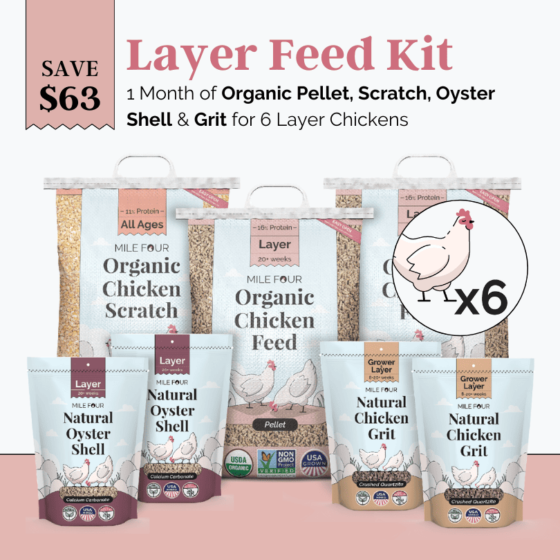 Layer Feed Kit | 1 Month of Organic Feed, Scratch, Grit & Oyster Shell for 6 Layers