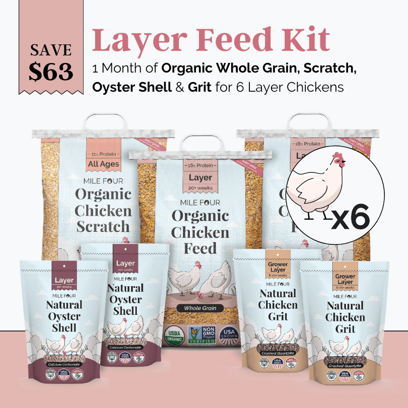 Layer Chicken Feed Kit, Chicken Feed Kit, Chicken Kit, Organic Feed Kit, Month Supply of Chicken Feed, Grit, Scratch, Oyster Shell, Chicken Feed Bundle, Best Chicken Feed