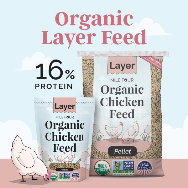 Buy Organic Chicken Layer Feed, Best Organic Chicken Feed, Non-GMO, USDA Organic Chicken Feed, Chicken Feed, Organic Chicken Feed, Mile Four Feed, Mile Four Chicken Feed