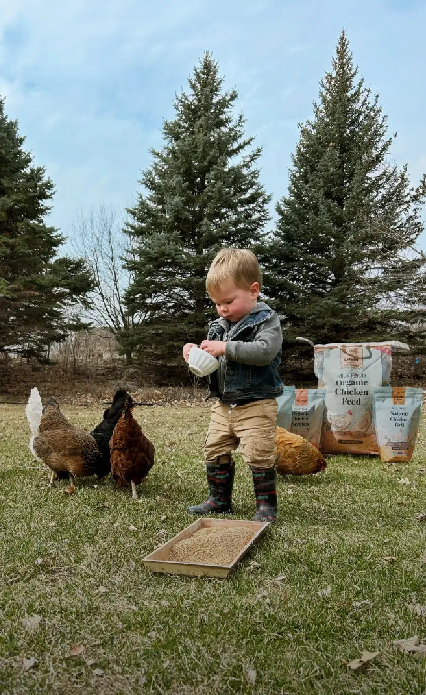 Organic Chicken Feed, Chick Feed, Starter Feed, Mile Four, Chicken Feed, Bulk Feed, Sampler Chicken Feed, USDA Organic Chicken Feed, Non-GMO Chicken Feed, Organic Eggs,