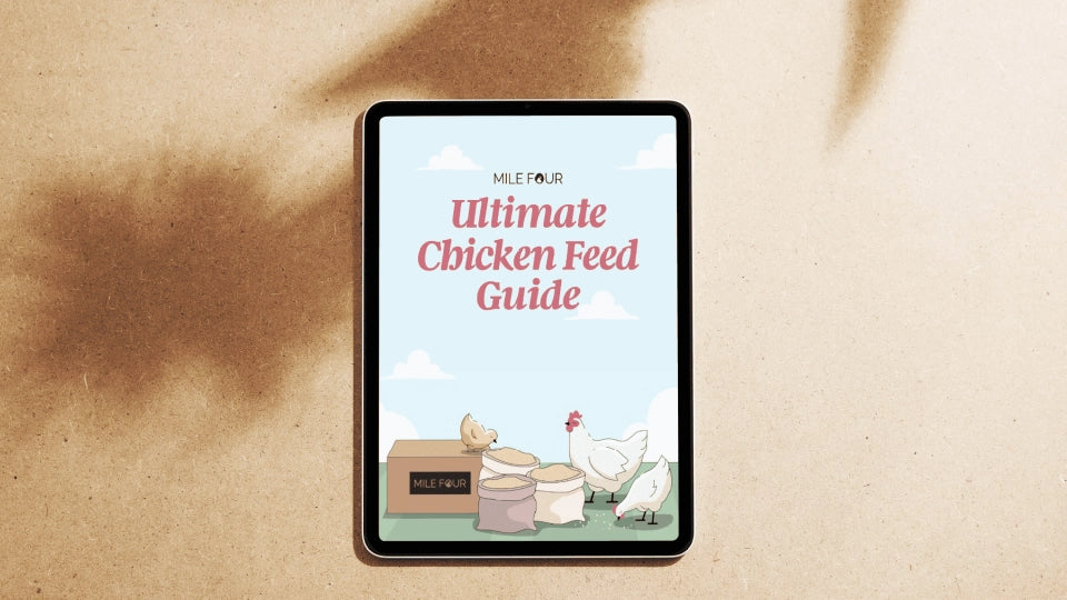 Ultimate Chicken feed Guide