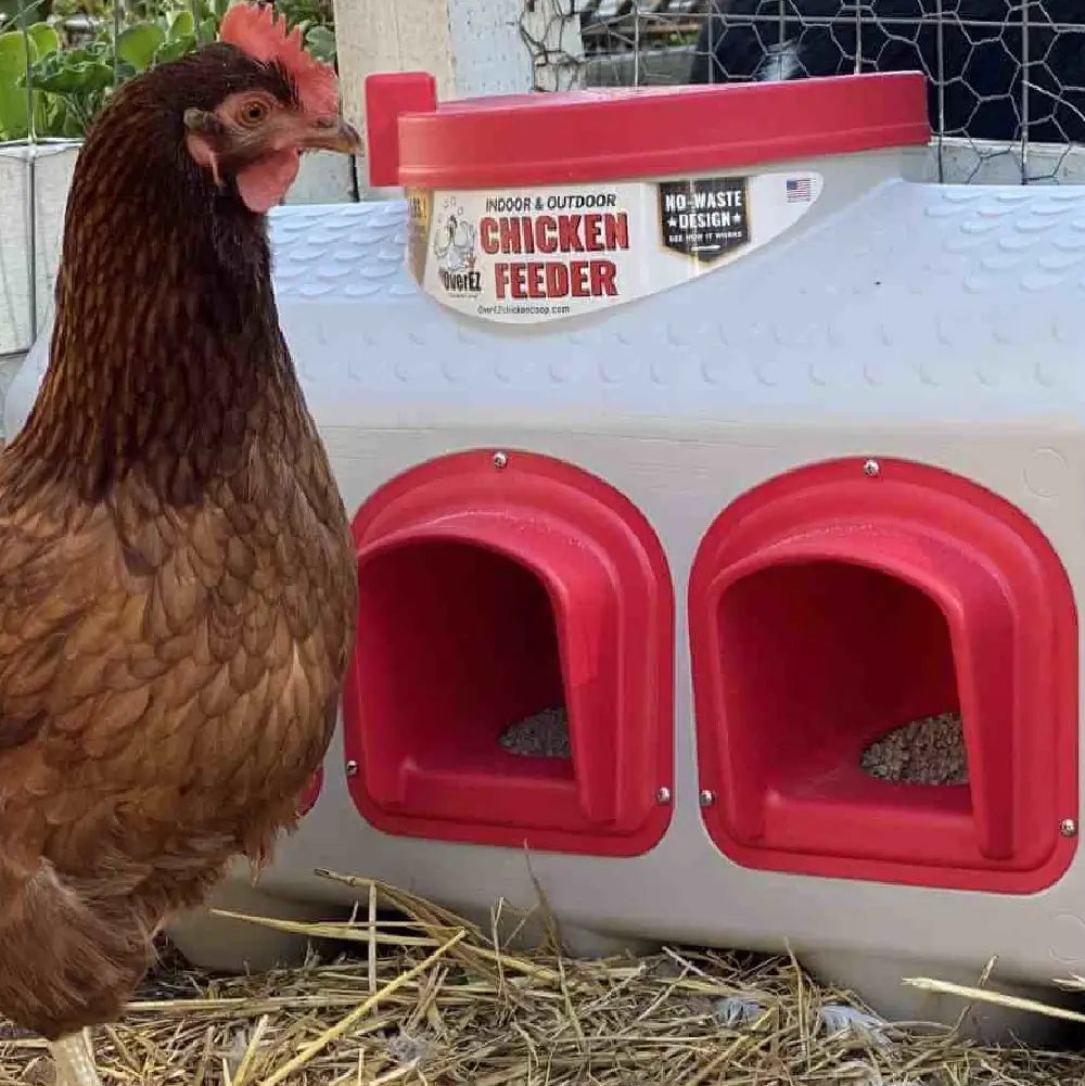 Chicken Feed, Poultry Feeder, Chicken Feed Dispenser, Feeder, High Capacity Feeder, Best Chicken Feeder, OverEZ Chicken Feeder, OverEZ Feeder