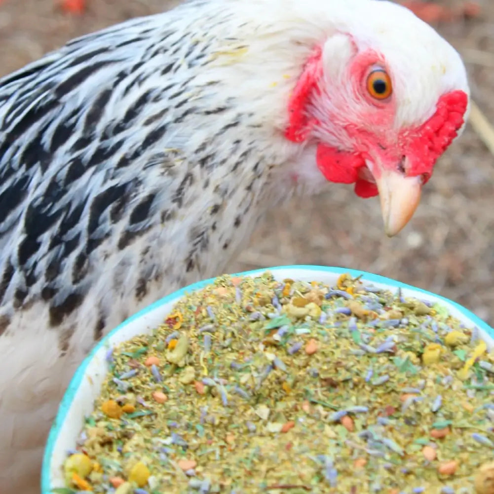 Pampered Chicken Mama organic nesting herbs packaging with dried flowers on a white background