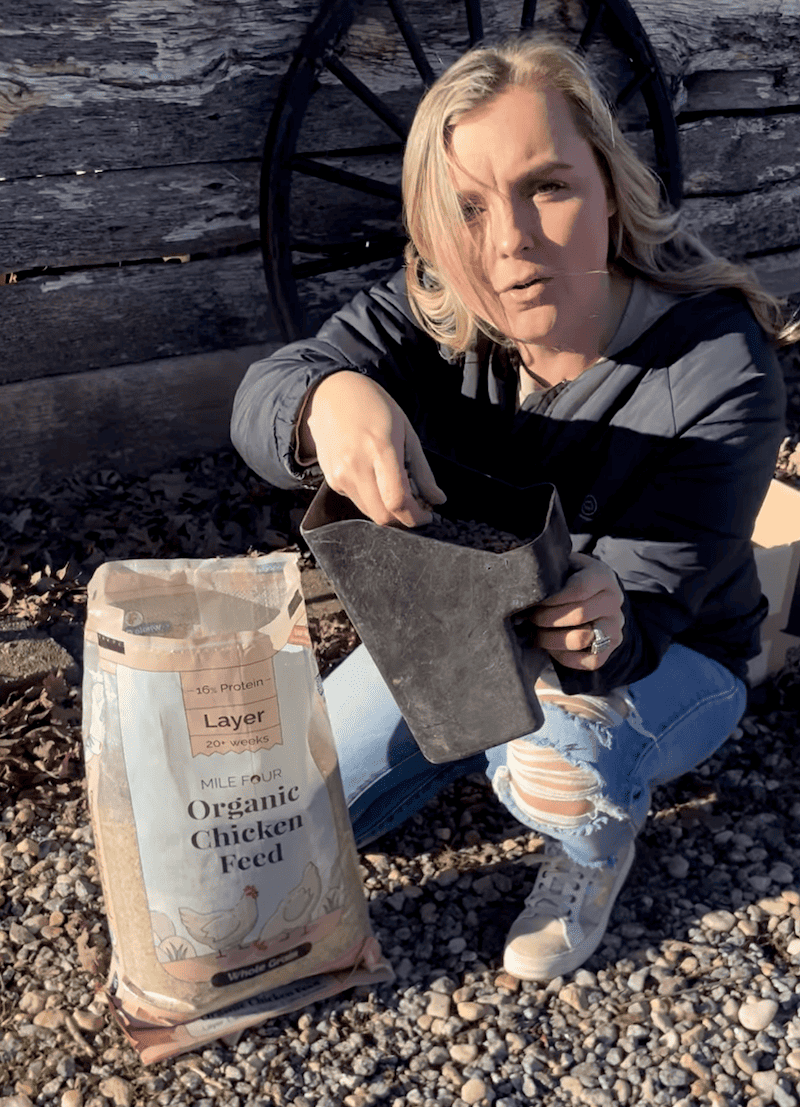 Buy Organic Chicken Layer Feed | Best Organic Layer Feed | Non-GMO | Review Image