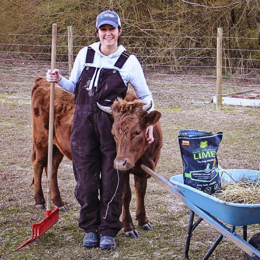 Natural Insect Repellent for Chicken Coops