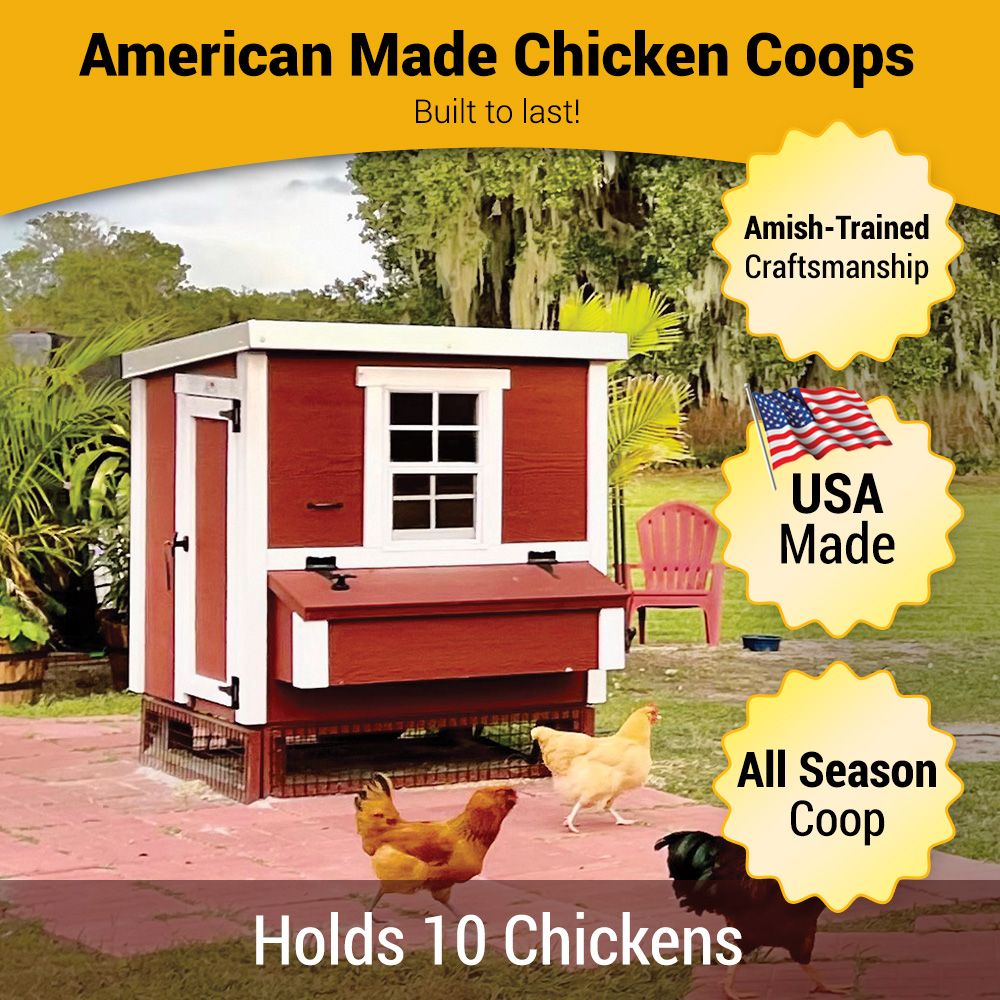 Chicken Coop Medium (10 Chickens)