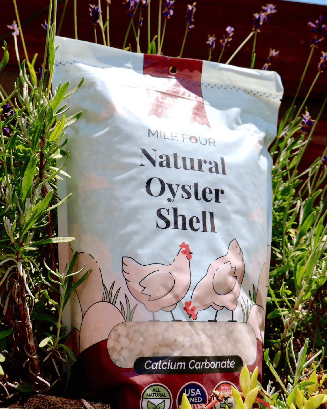 Buy Oyster Shell for Strong Chicken Eggs | Best Calcium Supplement
