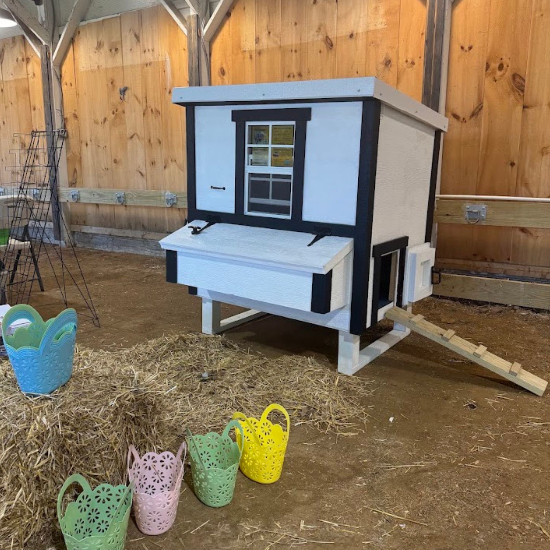 Chicken Coop Medium (10 Chickens)