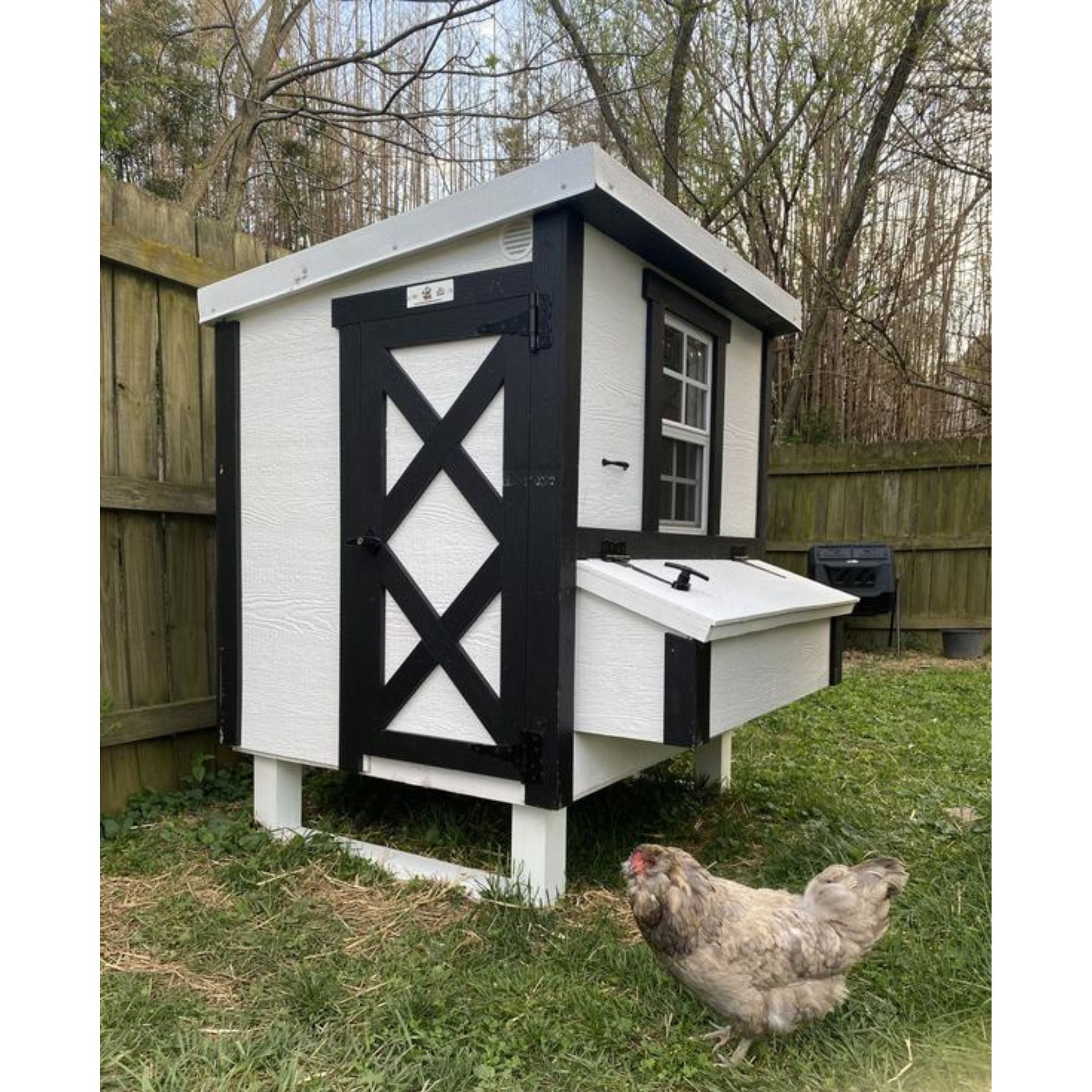 Chicken Coop Medium (10 Chickens)